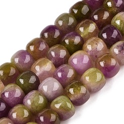 Dyed Natural White Jade Beads Strands&nbsp;G-T138-D14