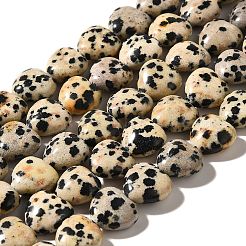 Natural Dalmatian Jasper Beads Strands&nbsp;G-R190-10mm-63