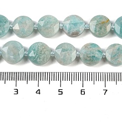 Natural Amazonite Beads Strands&nbsp;G-C116-A23-01A