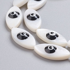 Natural Shell Beads Strands&nbsp;SSHEL-I024-04D