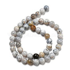 Natural Dendritic Opal Beads Strands&nbsp;G-R494-A16-03