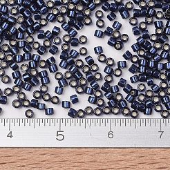 MIYUKI Delica Beads&nbsp;X-SEED-J020-DB2191