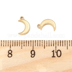 304 Stainless Steel Charms&nbsp;STAS-L022-546G