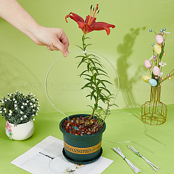 アクリル植物成長サポート  円形植物トレリス  透明  330x230x4mm&nbsp;AJEW-WH0695-052