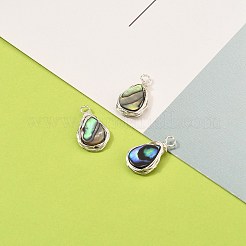 Natural Abalone Shell/Paua Shell Pendants&nbsp;X-PALLOY-JF00477-02