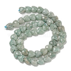 Natural Amazonite Beads Strands&nbsp;G-P544-E09-01