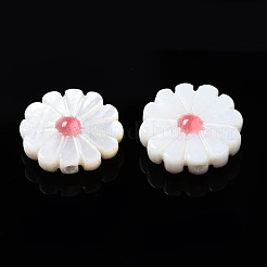 天然淡水シェルビーズ  エナメル  花  ライトコーラル  12~13x3~4mm  穴：0.9mm&nbsp;SHEL-N026-143A-149B