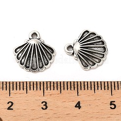Tibetan Style Alloy Charms&nbsp;FIND-C043-071AS