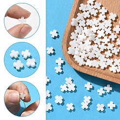 2 Strands Natural Freshwater Shell Beads Strands&nbsp;SSHEL-SC0001-38