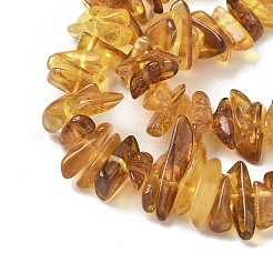Natural Amber Beads Strands&nbsp;G-L095-D01-07