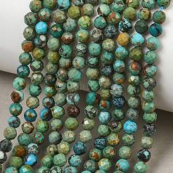 Natural HuBei Turquoise Beads Strands&nbsp;G-P629-A04-03