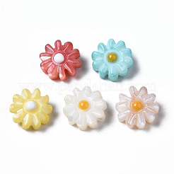 天然淡水シェルビーズ  エナメル  花  ミックスカラー  8x4mm  穴：0.8mm&nbsp;SHEL-N003-20B