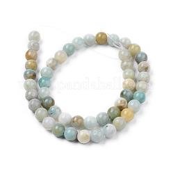 Natural Flower Amazonite Beads Strands&nbsp;G-L476-12