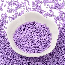 Baking Paint Glass Seed Beads&nbsp;SEED-S042-05B-71