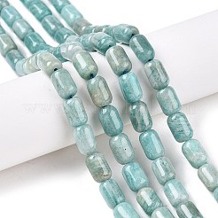 天然石アマゾナイトビーズ連売り  コラム  9~9.5x6mm  穴：0.9~1mm  約42~43個/連  15.24~15.8''（38.7~39.5センチメートル）&nbsp;G-G980-36A