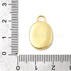 プリントブラスペンダント  楕円形のチャーム  長持ちメッキ  18KGP本金メッキ  蝶結び  20.5x13.5x3mm  穴：3x2mm&nbsp;KK-K274-07G-20