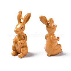 Spray Painted Brass Pendants&nbsp;KK-Q252-001G