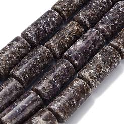 天然レピドライト/パープルマイカストーンビーズ連売り  混合図形  22~31x9.5~16x6.5~12mm  穴：1~1.2mm  約13~19個/連  15.55~16.02''（39.5~40.7センチメートル）&nbsp;G-H335-C01