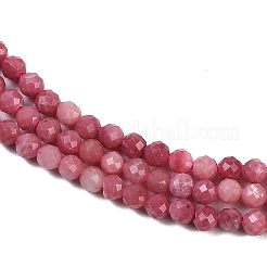 Natural Rhodonite Beads Strands&nbsp;X-G-P553-G06-01