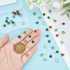 8 Color 304 Stainless Steel with Glass Charms&nbsp;STAS-UN0048-44A