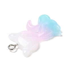 Translucent Resin Pendants&nbsp;RESI-G069-03B
