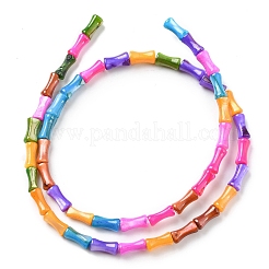 Natural Freshwater Shell Dyed Beads Strands&nbsp;SHEL-R129-03