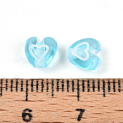 Transparent Acrylic Beads&nbsp;TACR-TAC0010-01E