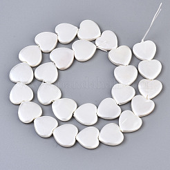 Electroplate Natural Shell Beads Strands&nbsp;BSHE-Q034-003D