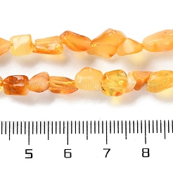 Natural Amber Beads Strands&nbsp;G-P497-01C-04