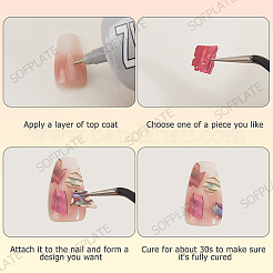 1 Set 12 Colors Shell Slices&nbsp;MRMJ-SP0001-05A
