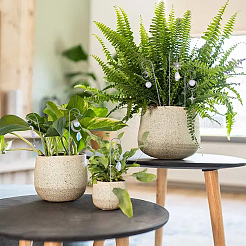 DIY植物ラベルポール吊り下げフック作成キット  鉄製の吊り棒を含む  合金ペンダント  201ステンレスリンクコネクタ  真鍮製のリンキングリングとジャンプリング  ガラスのペンダントとリンク  ミックスカラー  200x33.5x2mm&nbsp;DIY-SC0032-37