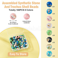 160Pcs 8 Colors Assembled Synthetic Stone and Trochus Shell Beads&nbsp;G-TA0002-31C