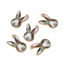 Rack Plating Alloy Enamel Pendants&nbsp;ENAM-K050-04C