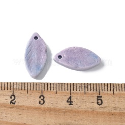 天然レインボーアラシャン瑪瑙ペンダント  染め  葉のチャーム  ミックスカラー  16.5x7.5~8x2.5mm  穴：1.2mm&nbsp;G-G194-03