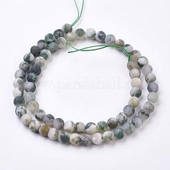 Natural Tree Agate Bead Strands&nbsp;G-J376-11F-6mm