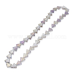 Transparent Electroplate Glass Bead Strands&nbsp;EGLA-C002-FR01