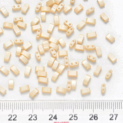 FGB 2-Hole Baking Paint Glass Seed Beads&nbsp;SEED-S031-M-593