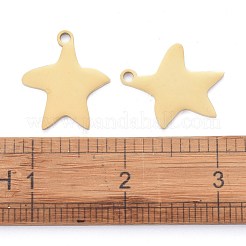 304 Stainless Steel Pendants&nbsp;STAS-I140-13G