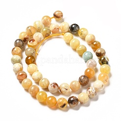 Natural Yellow Opal Beads Strands&nbsp;G-G992-A02-A