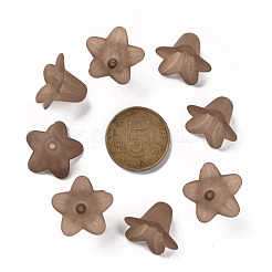 Transparent Acrylic Beads&nbsp;PLF018-14