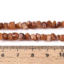 天然淡水シェルビーズ連売り  ナゲット  染め  シエナ  0.5~8x3~7x3~7mm  穴：1mm  約86~108個/連  14.76~15.16インチ（37.5~38.5cm）&nbsp;SHEL-N037-04C
