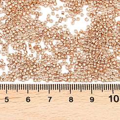 MIYUKI Delica Beads&nbsp;X-SEED-J020-DB2518