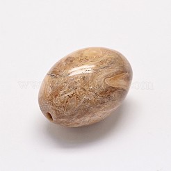 天然珪化木ビーズ  オーバル  24x18mm  穴：2mm&nbsp;G-P076-34B