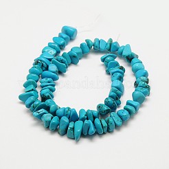 チップ天然マグネサイトビーズ連売り  染め  ターコイズ  7~14x6~10mm  穴：1mm  16.1インチ&nbsp;G-N0132-05