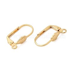 Brass Leverback Earring Findings&nbsp;KK-P340-22G