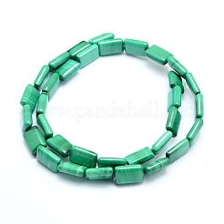 Natural Malachite Beads Strands&nbsp;G-D0011-03-8x12mm
