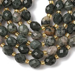Natural Green Wood Lace Stone Wooden Jasper Beads Strands&nbsp;G-F809-A30-01