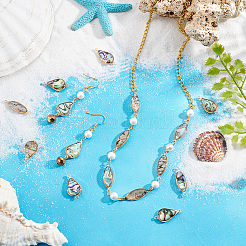 16Pcs 2 Styles Paua Shell Connector Charms&nbsp;KK-PH0010-02