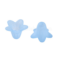 透明なアクリルビーズ  艶消し  花  ライトブルー  17.5x12mm  穴：1.5mm&nbsp;X-PLF018-06