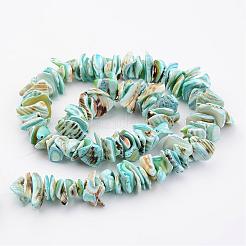 Natural Shell Bead Strands&nbsp;BSHE-P010-04
